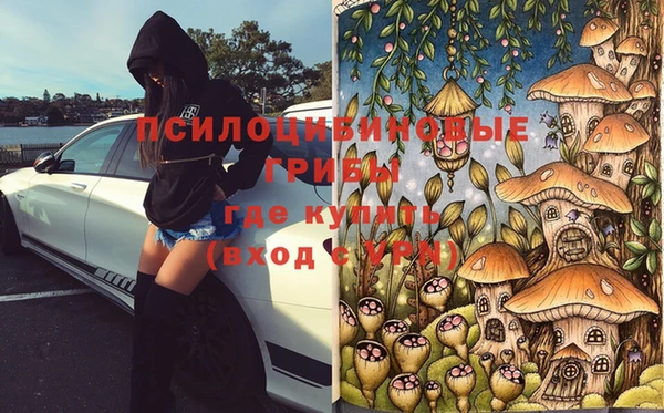 герыч Белокуриха