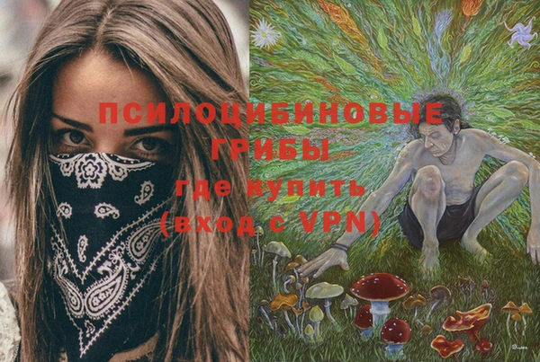 амф Белоозёрский