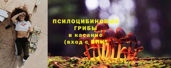 крисы Беломорск