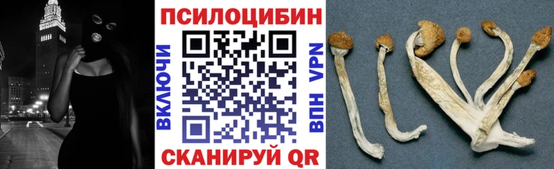 Галлюциногенные грибы Magic Shrooms  Вязьма 