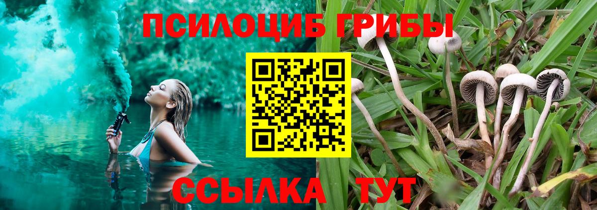 Псилоцибиновые грибы ЛСД Вязьма