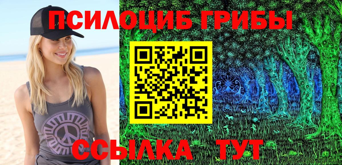 Псилоцибиновые грибы ЛСД  Вход с VPN  Псилоцибиновые грибы прущие грибы  Вязьма 